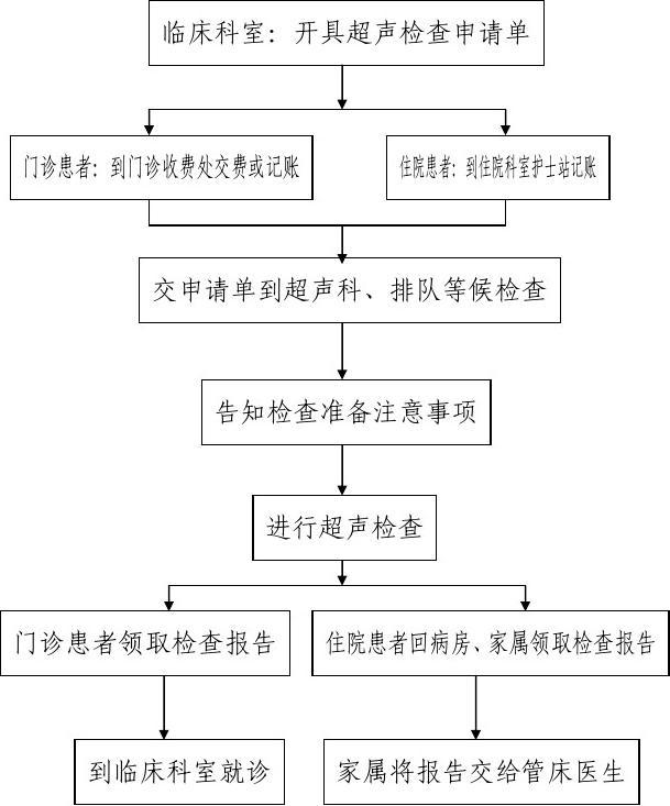 電診科流程.png